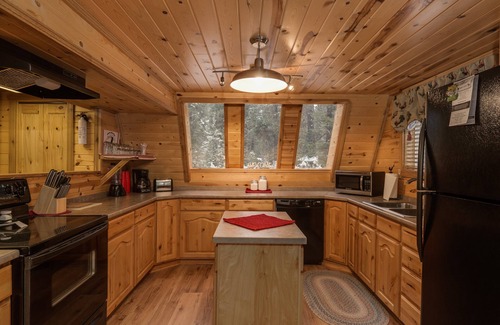 Island Park House | Roger Dodger