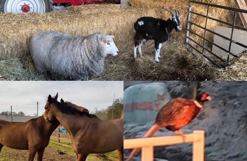 Cottingham Apartment | Rolling Mill, Wolds Way Holiday Cottages, 2 Bed, 1st floor