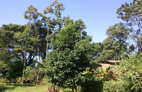 Cahuita House | Romantic bungalow in the middle of a tropical garden, close to the beach.