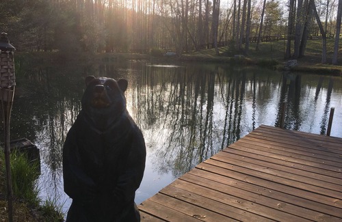 Dahlonega Cabin | Romantic cabin on horse farm just 6 miles away from historic downtown Dahlonega,