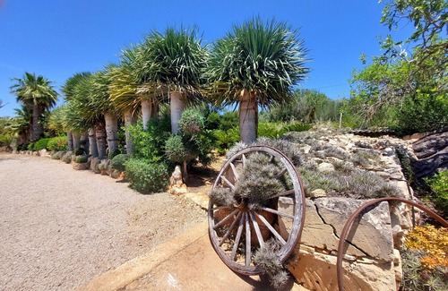 Cas Concos Cottage | romantic Country house in the hills of Cas Concos, 8 pers., pool, A/C, Wifi