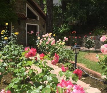 Platres Villa | Rose Garden Platres