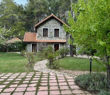 Platres Villa | Rose Garden Platres