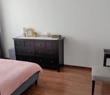 Frydek-Mistek Apartment | Roses Apartment