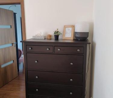 Frydek-Mistek Apartment | Roses Apartment