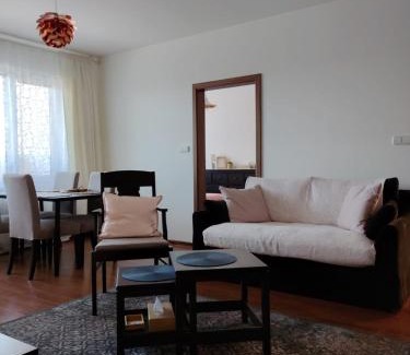 Frydek-Mistek Apartment | Roses Apartment