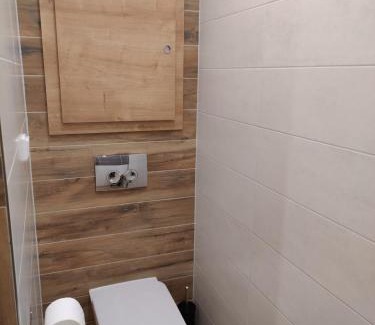 Frydek-Mistek Apartment | Roses Apartment