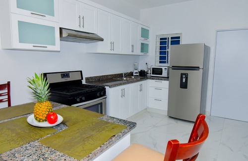 El Pueblito Apartment | Rosil Place, Modern Beach Apt #5 with Balcony