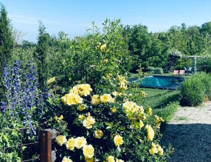 Novello Apartment | ROSTAGNI 1834 apt in villa with pool in the Barolo region