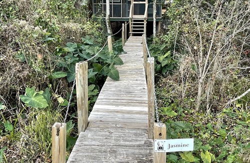 Hartsfield Cottage | Row Cottages Jasmine Cottage