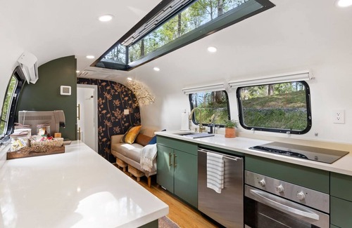 Pisgah Forest Villa | Royal Fern in Pisgah Forest