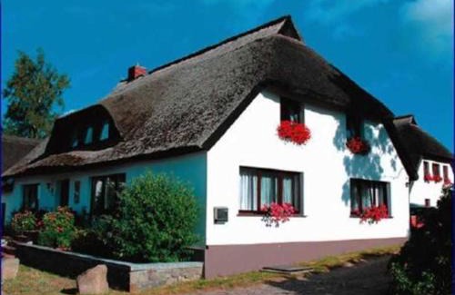 Gross Zicker Apartment | Ruegen Fewo 233