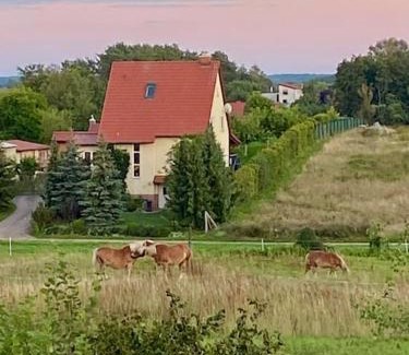 Stolzenhagen Apartment | Ruhe und Erholung 1h von Berlin