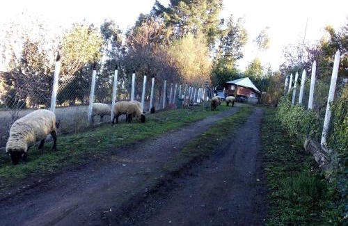 Nueva Imperial House | Ruka Huilipan