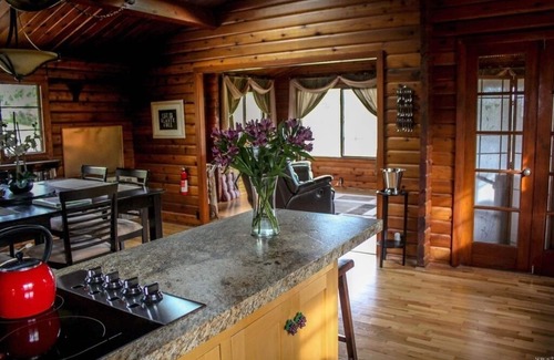 Healdsburg Cabin | ✨Rustic Cabin in Dry Creek Valley with beautiful views/5 miles to Plaza ✨