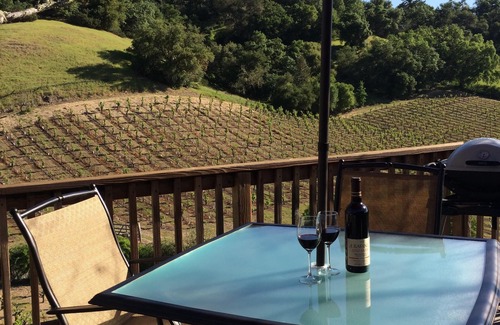 Healdsburg Cabin | ✨Rustic Cabin in Dry Creek Valley with beautiful views/5 miles to Plaza ✨