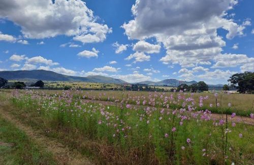 Lydenburg House | Rustic Farm Stay