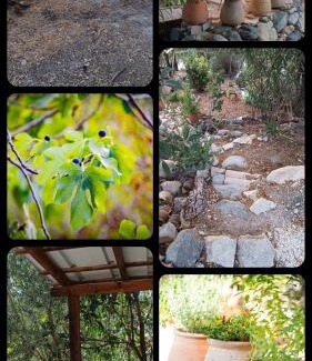 Kfar Hoshen Ski Chalet | Rustic Galilee Cabin Perfect Winter Getaway