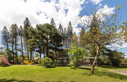 Armacao House | Rustic House in Armação Beach facing the river