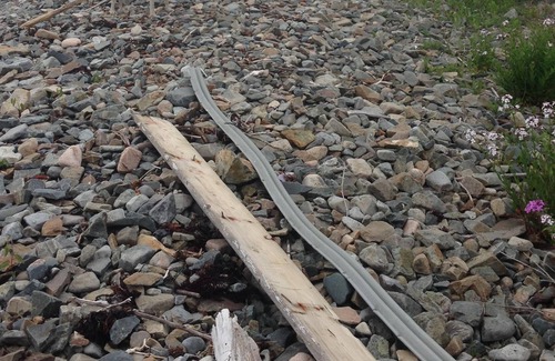 Manset House | Rustic Manset Artist's Home