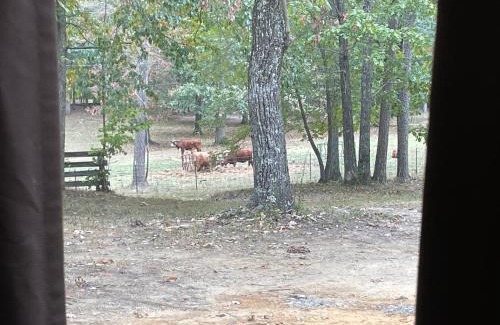 Bridgeport Ski Chalet | Rustic Mountaintop Cabin on small farm with WiFi
