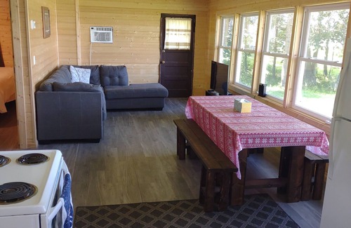 Aitkin Cabin | Rustic, secluded 1 acre wooded property private dock on Fleming lake