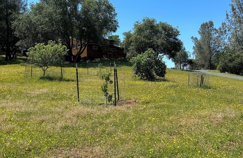 Penn Valley Apartment | Rustic Studio Getaway Pet Friendly