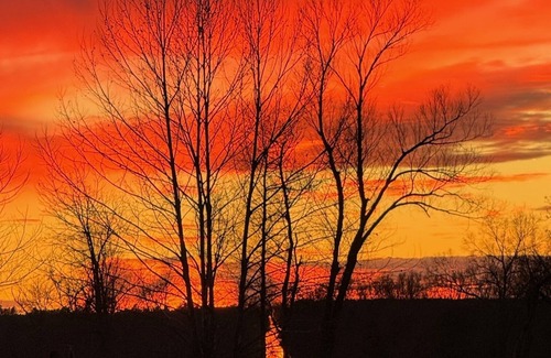 Centerville RV Rental | RV site for the 2024 Total Eclipse at the base of Petit Jean Mountain