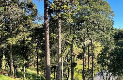 Sao Joaquim House | Sítio da Vó Gisela