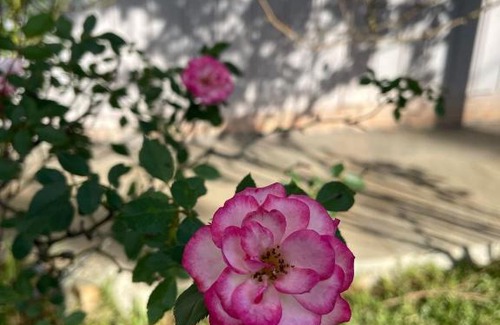 Sao Joaquim House | Sítio da Vó Gisela