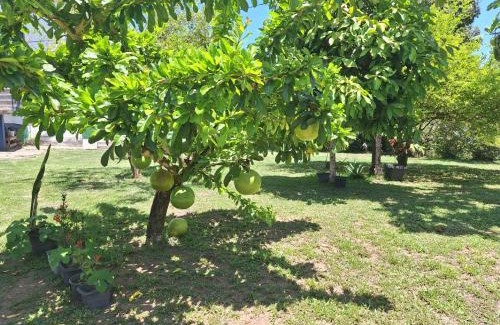 Jaua House | Sítio Danju - Casa de Hóspedes