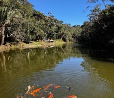 Santa Teresa Apartment | Sítio das Orquídeas