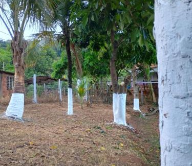 Tombos House | Sítio Gavião