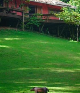 Serra Grande Bed & Breakfast | Sítio Refúgio - Experiência