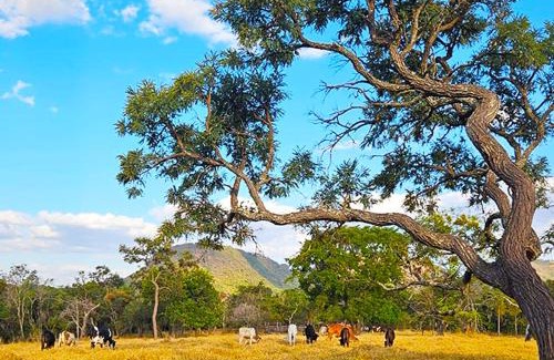 Santo Antonio da Alegria House | Sítio Vista Alegre