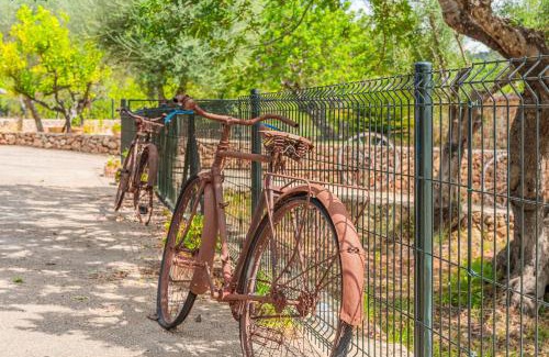 Alaro House | Sa Sort