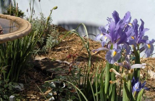 Port Kembla Cottage | Sadies Cottage Port Kembla