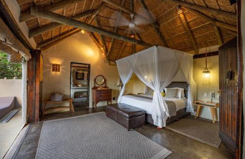 Paterson Other | Safari Lodge - Amakhala Game Reserve