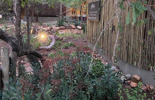 Hoedspruit Cabin | Safari Moon Luxury Bush Lodge - Where Tom Cruise did stay in South Africa!