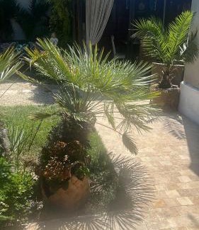 Doua Mai House | Saga proprietate administrata de o gazda particulara