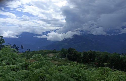 Mathabhanga Apartment | Saha home stay