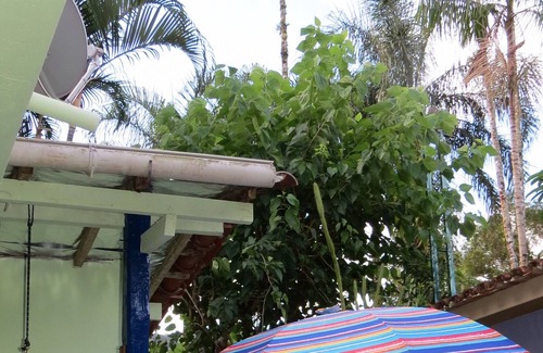 Barra do Sahy House | SAHY BAR ONLY 40 METERS FROM THE BEACH / air-conditioned