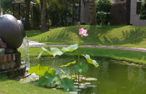 Cua Lo Hotel | Saigon Kimlien Resort Cualo