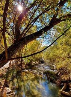 Castril House | Saluda Alta