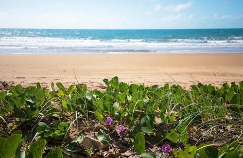 Sarina Beach Hotel | Sandpiper Motel