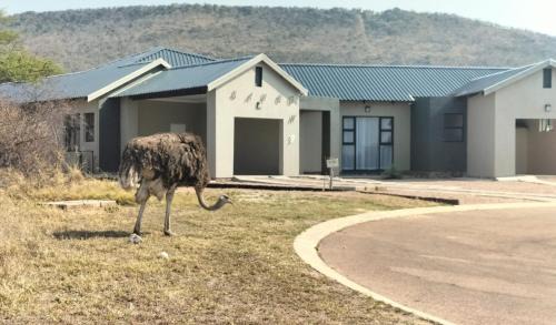 Mookgopong House | Sango on 9