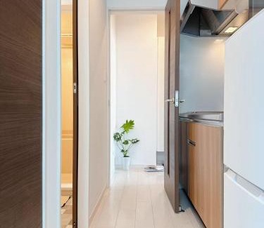 Ikuno Apartment | Sanmi 剛田今里203