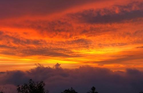 Santa Rosa de Cabal Cabin | Santa Bárbara