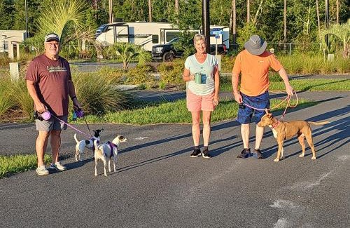 Gainesville Other | Santa Fe Palms RV Resort