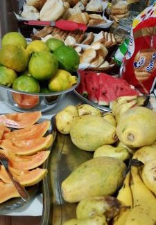 Cachoeira Paulista Hotel | Santa Helena Pousada